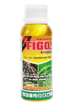 FIGO 100EC - Thuốc trừ cỏ đuôi phụng triệt để